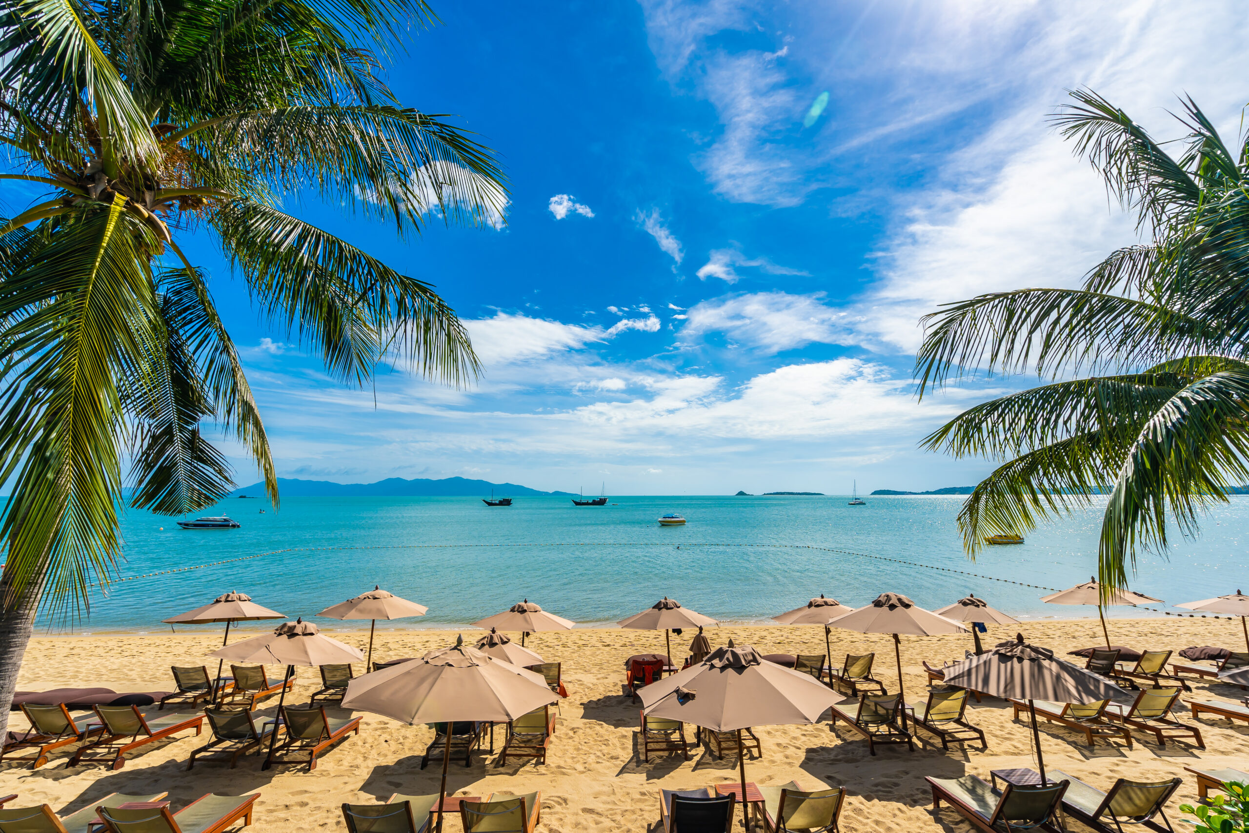 Beautiful tropical beach sea and ocean with coconut palm tree a